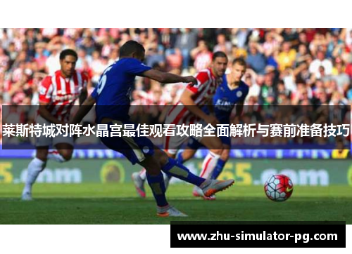 莱斯特城对阵水晶宫最佳观看攻略全面解析与赛前准备技巧