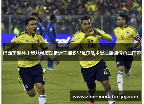 巴西美洲杯止步八强表现低迷主帅多里瓦尔战术受质疑帅位承压前景