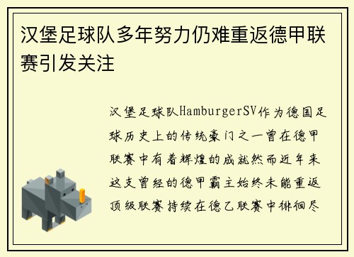 汉堡足球队多年努力仍难重返德甲联赛引发关注